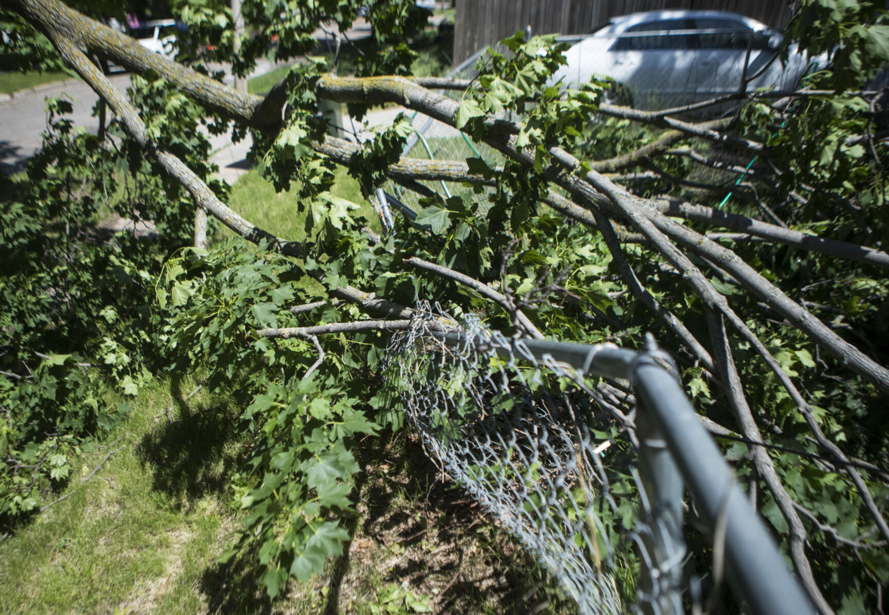Storm Damage